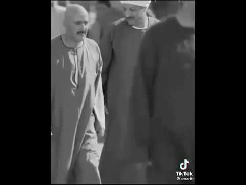 حالات واتس مسلسل نسل الاغراب الحلقه الثالته ٣