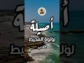مدينة اصيلة   السفر السياحة