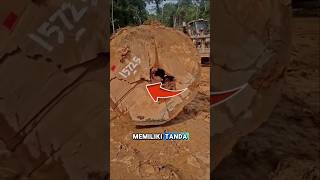 Mungkin Ini Alami viral