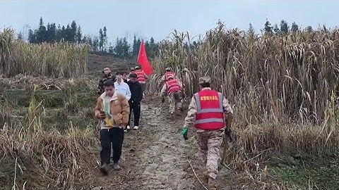 Live: Updates on rescue work after Sichuan landslide in SW China