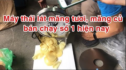 Máy cắt thái lát măng tươi,  măng củ, măng chua, thái sợi măng tươi bán chạy số 1