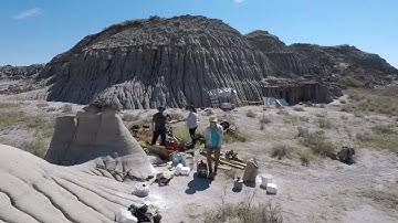 Timelapse: Excavation of a Hadrosaur (Day 1 - 10)