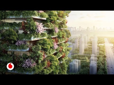 Video: Arquitectura Totalitaria En El Bosque