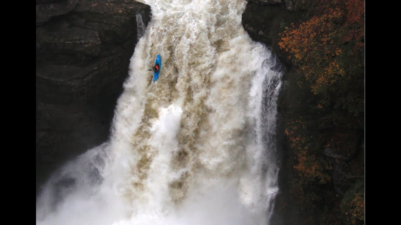 Saut de chat