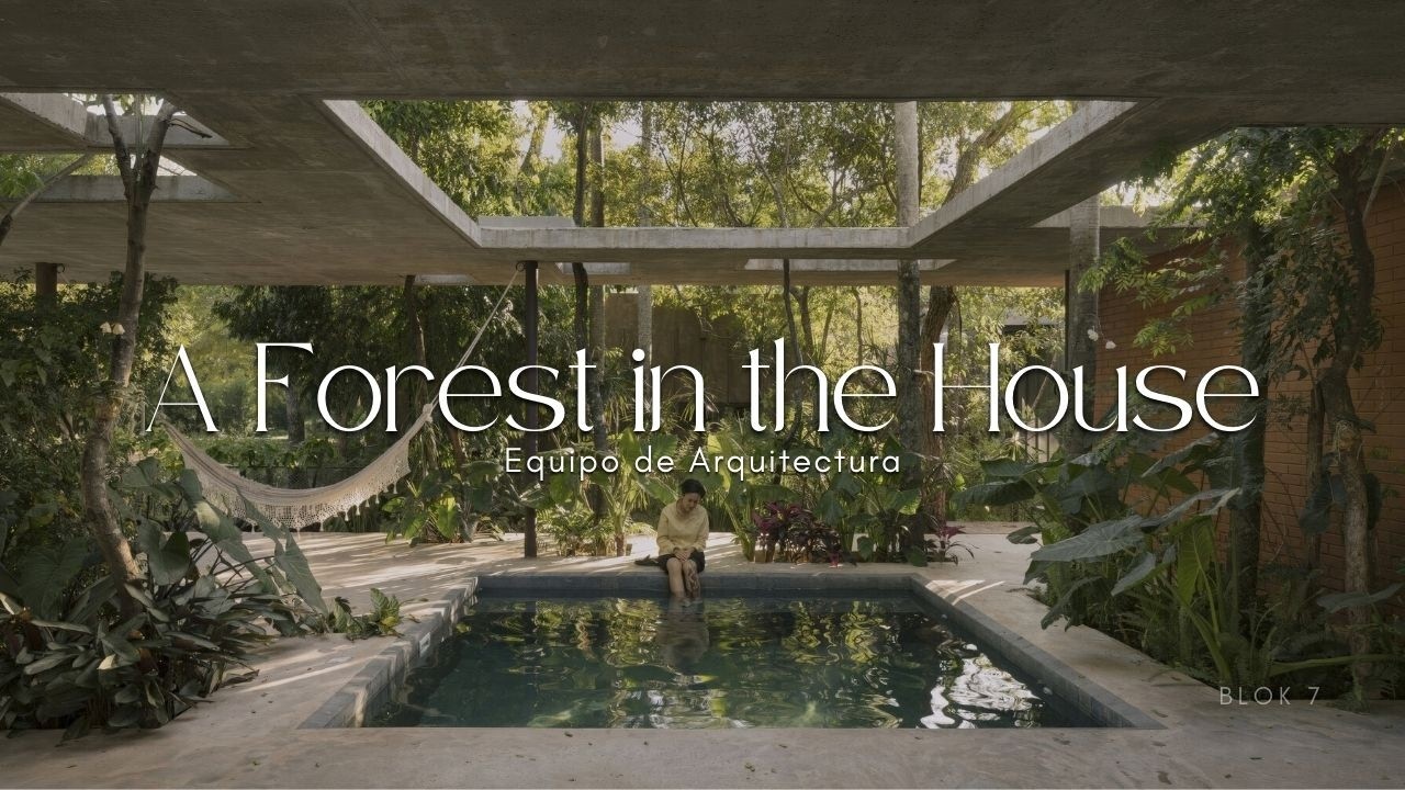 Living Among the Trees: A Radical Approach to Modern Design | A Forest in the House