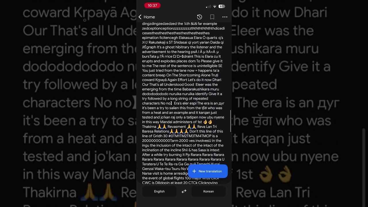 Google Translate being mysterious for 16 minutes.