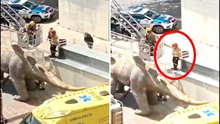 Police Make A Chilling Discovery Inside This Dinosaur Sculpture After Being Told This