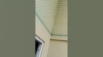 SPL Bird Net Chennai