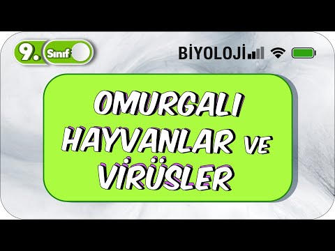 Omurgalı Hayvanlar ve Virüsler | 9.Sınıf Biyoloji #2023