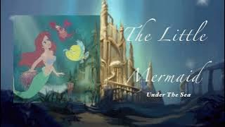 𝐓𝐡𝐞 𝐋𝐢𝐭𝐭𝐥𝐞 𝐌𝐞𝐫𝐦𝐚𝐢𝐝 𝐢𝐧𝐬𝐭𝐫𝐮𝐦𝐞𝐧𝐭𝐚𝐥 [𝐏𝐥𝐚𝐲𝐥𝐢𝐬𝐭]🧜🏻‍♀️