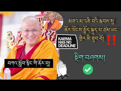 🚨Sangye NYENPA RINPOCHE 🙏འཆི་བའི་སྐབས་སུ་ནོར་ལོངས་སྤྱོད་སྐུད་པ་ཙམ་ཡང་ཁྱེར་མི་ཐུབ་བོ།🙇 #TibetanADVICE
