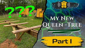 Queen Tree for my 3-way Mating Nucs!!//Part I