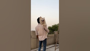 new mini vlog 😅🤦‍♂️ #vlog #vlogger #comedy