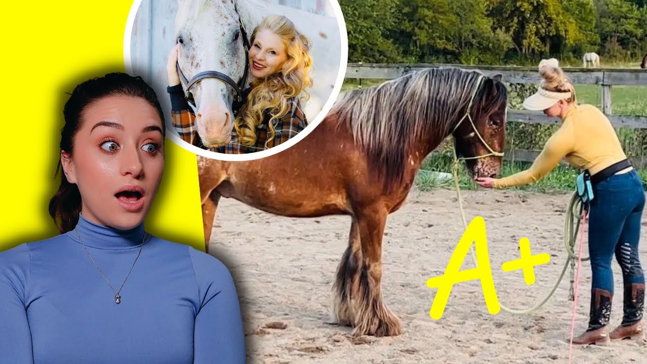 Let's Judge Horse Trainers: Free Spirit Equestrian - YouTube