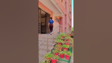 IIMT UNIVERSITY MERRUT ❤️ fia-bloggr00