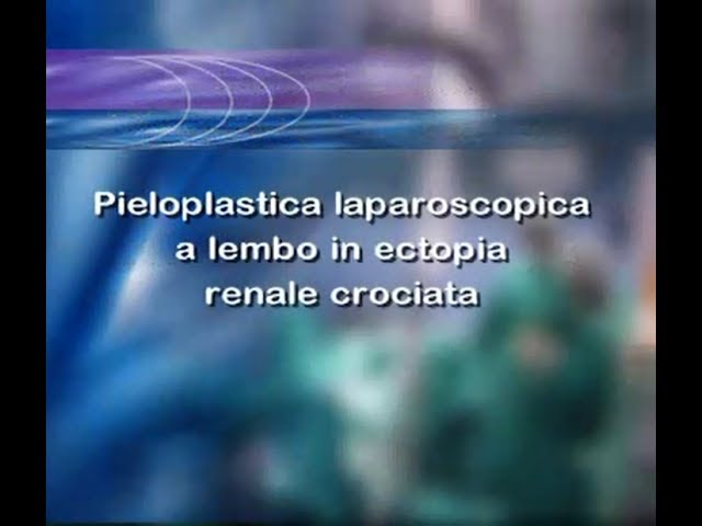 Ghid Pentru Stagiu Clinic de Urologie | PDF