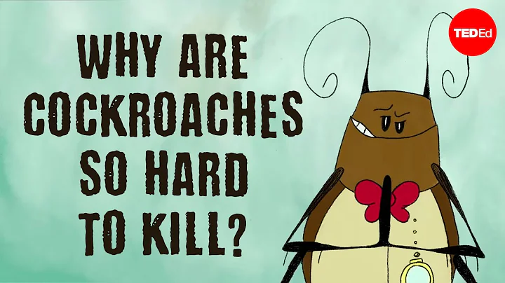 Why are cockroaches so hard to kill? - Ameya Gondhalekar - DayDayNews