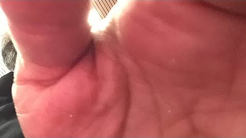 القارئ أحمد الزَّارِع | ما تيسر من سورة الأنعام | من صلوات العشاء و التراويح