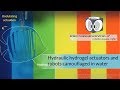Hydraulic hydrogel actuators  disguiseable water robots i r3 roboys research reviews 14