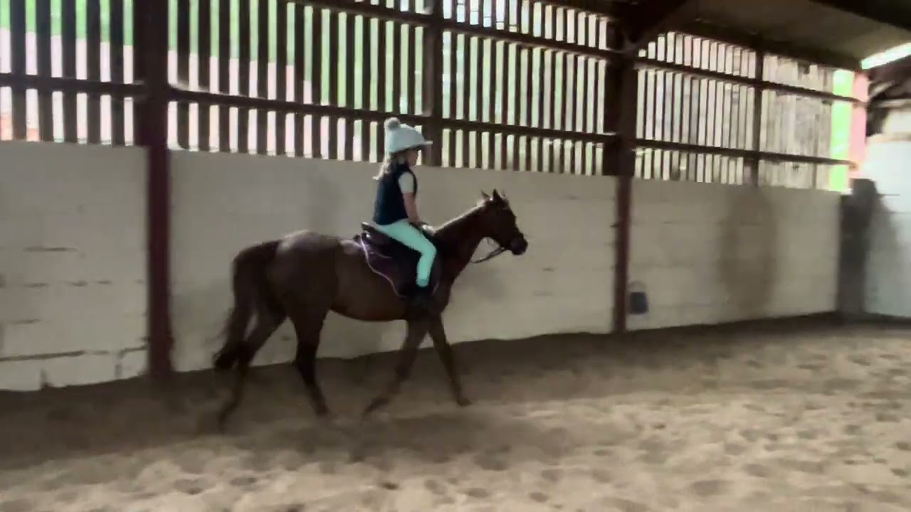 Slowing down the off to walk without the reins 