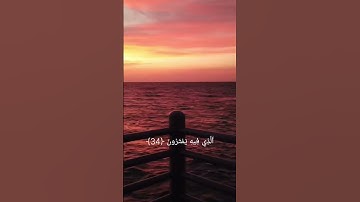سورة مريم بصوت القارئ محمد اللحيدان (8) من الآية (31) إلى الآية (35) #اكسبلور #القزابري #لايك #jjk