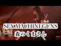 SEX MACHINEGUNS / 森のくまさん