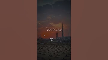 #قران_كريم #ماهر_المعيقلي #هزاع_البلوشي #عبدالرحمن_مسعد #تلاوة_خاشعة #تلاوات #القارئ #اسلام_صبحي