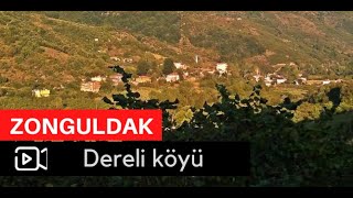 Dereli Köyü