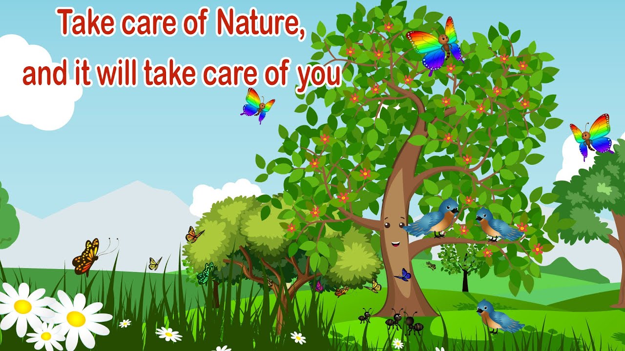 Sunny the Tree| Save Nature Story for Kids | Moral Story| Bed time stories| 