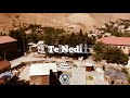 Kurdish Trap | ► Te Nedi ◄ Aram Serhad & Faruk Aydın Remix  - Prod by Remix Bey