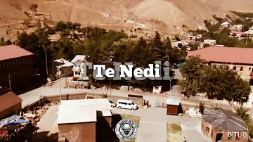 Kurdish Trap | ► Te Nedi ◄ Aram Serhad & Faruk Aydın Remix  - Prod by Remix Bey