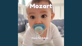 Soft Wink screenshot 5