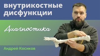 Диагностика внутрикостных дисфункций | Травма тела | Остеопатия | Кинезиология | Андрей Косиков