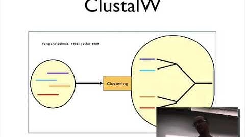 Multiple sequence alignments and profiles (part 1)