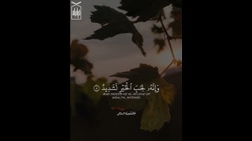 ﴿إِنَّ الإِنسانَ لِرَبِّهِ لَكَنودٌ﴾ من سورة العاديات .. الشيخ مبارك الغيثي 🤍.