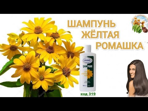 СИЛА РОМАШКИ В