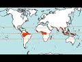 ¿Qué es el CLIMA ECUATORIAL?