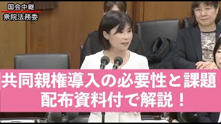 スライド付解説！共同親権導入の必要性と課題｜衆議院法務委員会参考人（りむすび代表しばはし聡子）