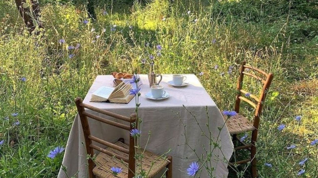 a playlist for a quiet life 🌿🕯