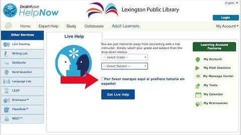 Brainfuse HelpNow Demo