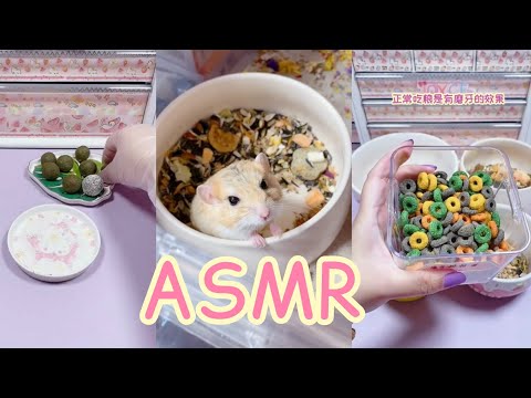 ASMR | HamppyHamster