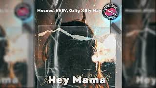 Mosees, NVSV, Ozlig x Ely May - Hey Mama