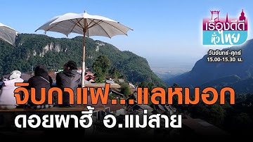 จิบกาแฟแลดอย@หมู่บ้านผาฮี้ | เรื่องดีดีทั่วไทย