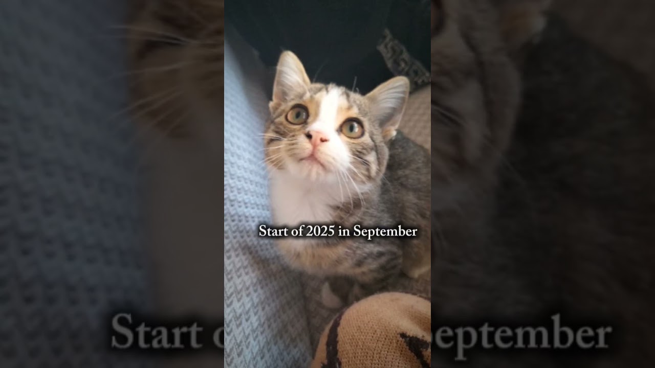 изменился?😏