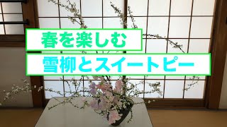 「春を楽しみましょう」雪柳とスイートピー