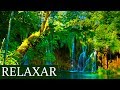 Música Relaxante Para Alegrar e Descontrair - Estudar, Trabalhar - Acalmar a Mente