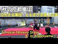 夕方の京都嵐山と日光さる軍団ともきりき🐵 Tomokiki Monkey Show in Arashiyama！
