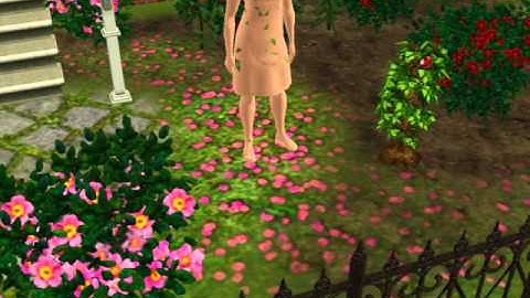 The sims 3 - mac display problem!!!