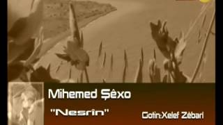 Mihemed Şêxo - Nesrîn Resimi