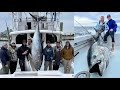 578lb trophy bluefin on spinning tackle